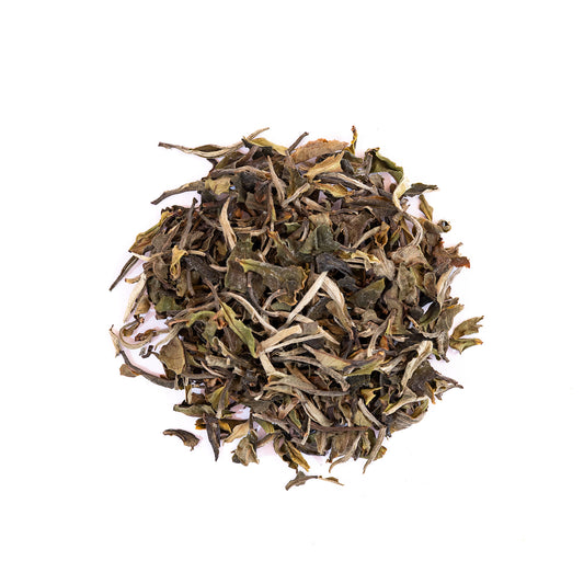 White Tea – Old Tree White Peony | Yunnan